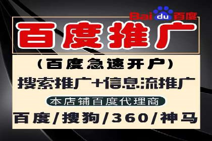 如何在sem竞价托管中取得卓越效果——案例解读